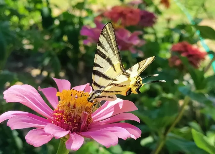 Ida Tahtalikoey Restorant Privatunterkunft *