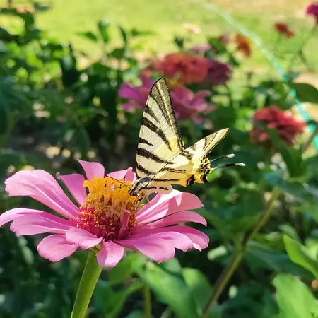 Ida Tahtalikoey Restorant Habitación en casa particular *