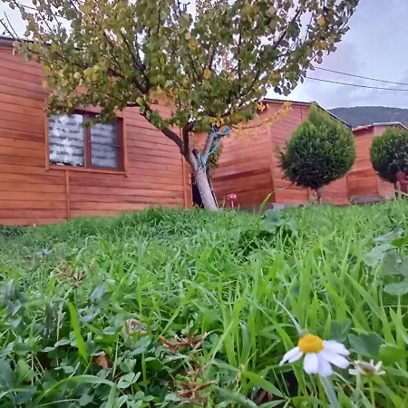 Ida Tahtalikoey Restorant * Edremit (Balikesir)