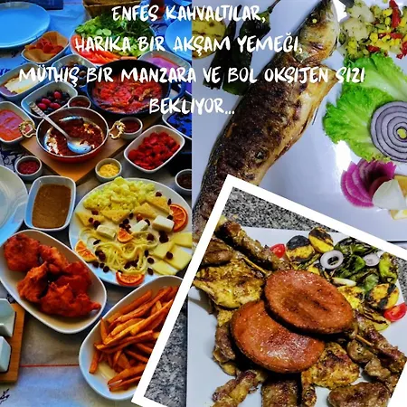 Ida Tahtalikoey Restorant * Edremit (Balikesir)