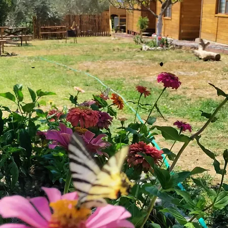 Homestay Ida Tahtalikoey Restorant Edremit (Balikesir)