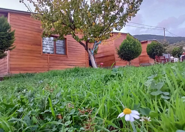 Ida Tahtalikoey Restorant * Edremit (Balikesir)